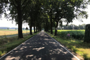 Straßenverlauf in Richtung Cloppenburg