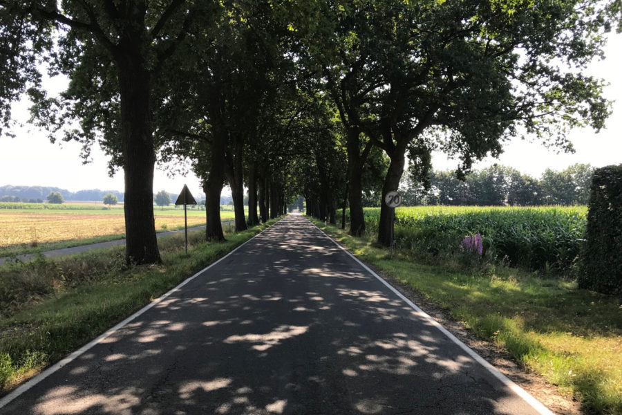 Straßenverlauf in Richtung Cloppenburg